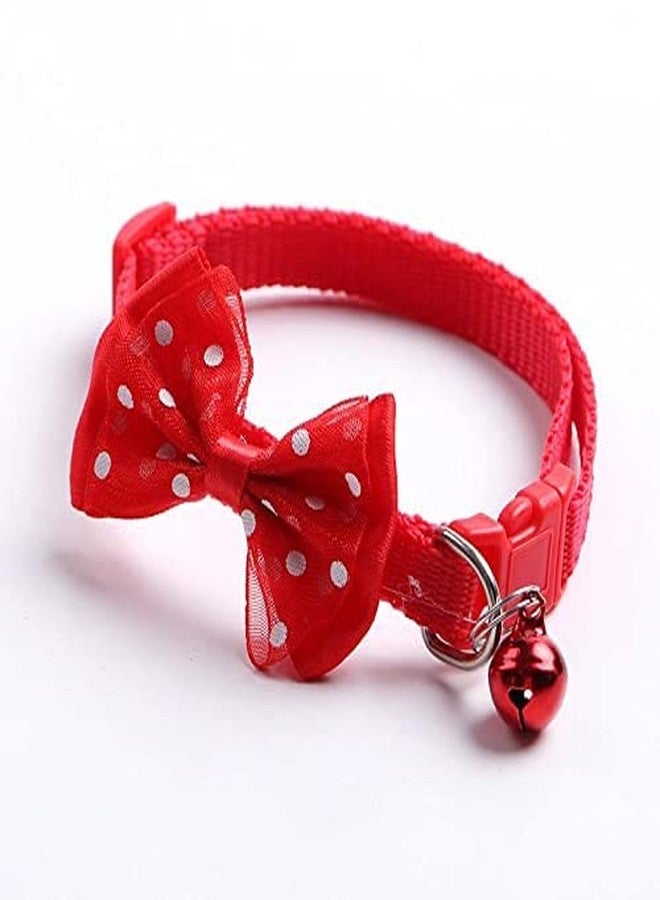 KittuPet طوق عاكس من KittuPet، عبوة من قطعة واحدة، مناسب للقطط والجراء والكلاب، مقاس 10 مم، لون عشوائي - Image 2